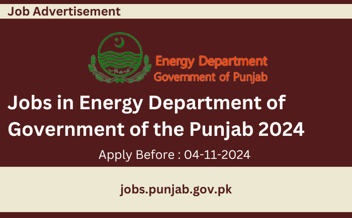 Latest Jobs in Energy Department of Government of the Punjab 2024
